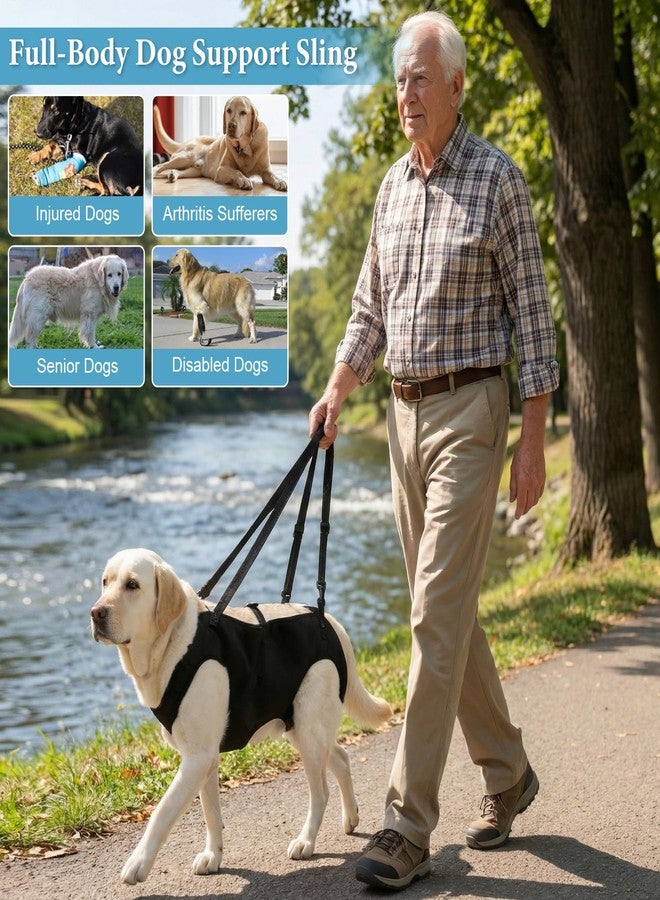 MLLNFUE Dog Carry Sling Emergency Backpack, Adjustable Dog Lift Harness with Leg Support for Senior & Injured Dogs, Arthritis Rehabilitation Pet Carrier for Hiking, Travel & Rescue - Black (Black, X-Large) - Image 3