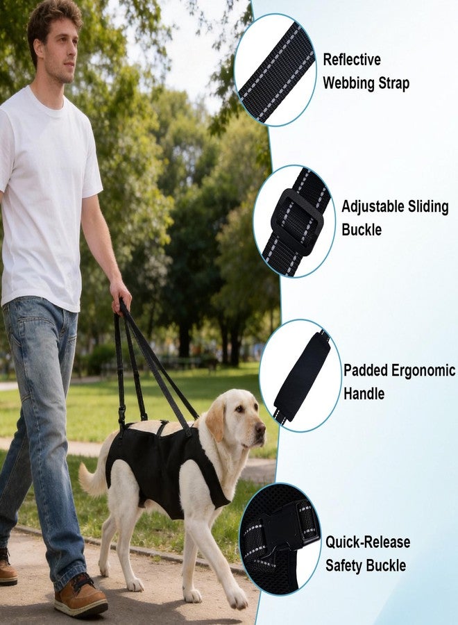 MLLNFUE Dog Carry Sling Emergency Backpack, Adjustable Dog Lift Harness with Leg Support for Senior & Injured Dogs, Arthritis Rehabilitation Pet Carrier for Hiking, Travel & Rescue - Black (Black, X-Large) - Image 4
