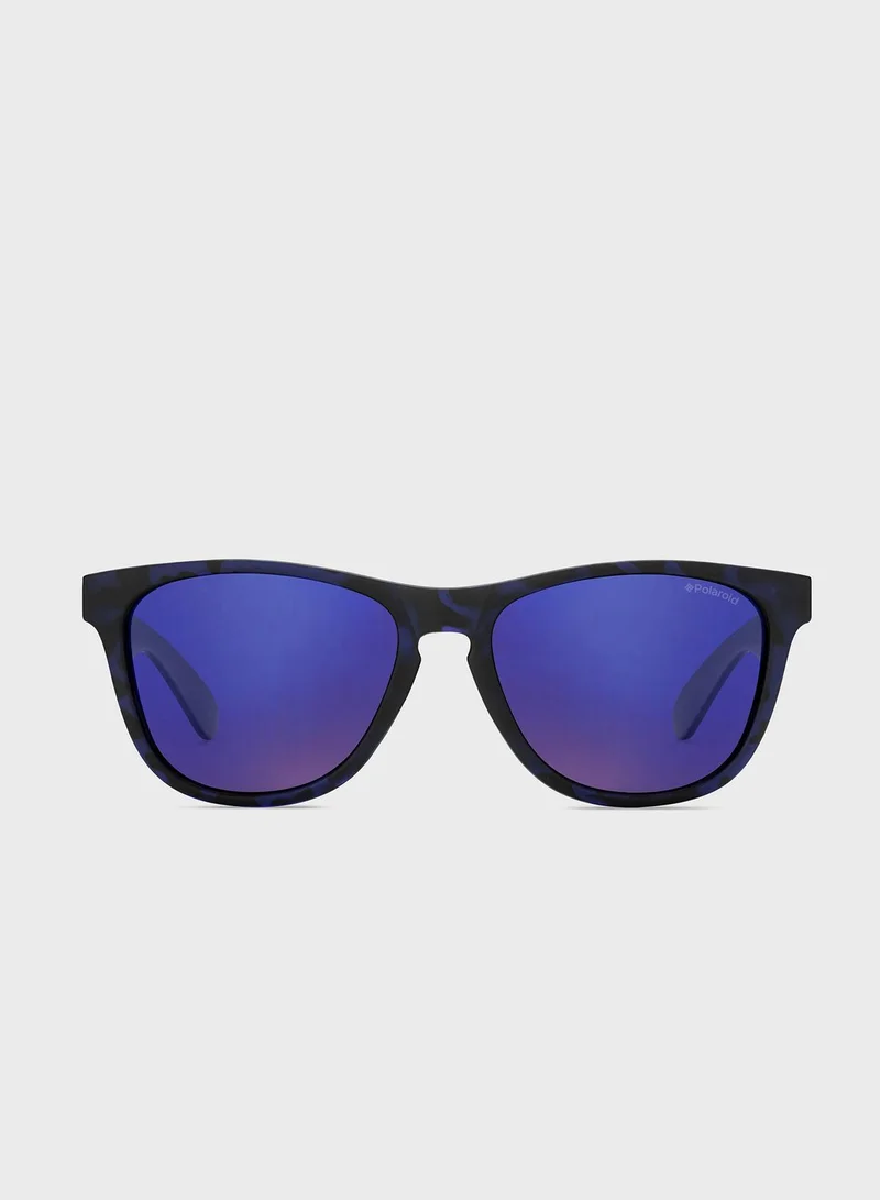 Polaroid Wayfarers Sunglasses
