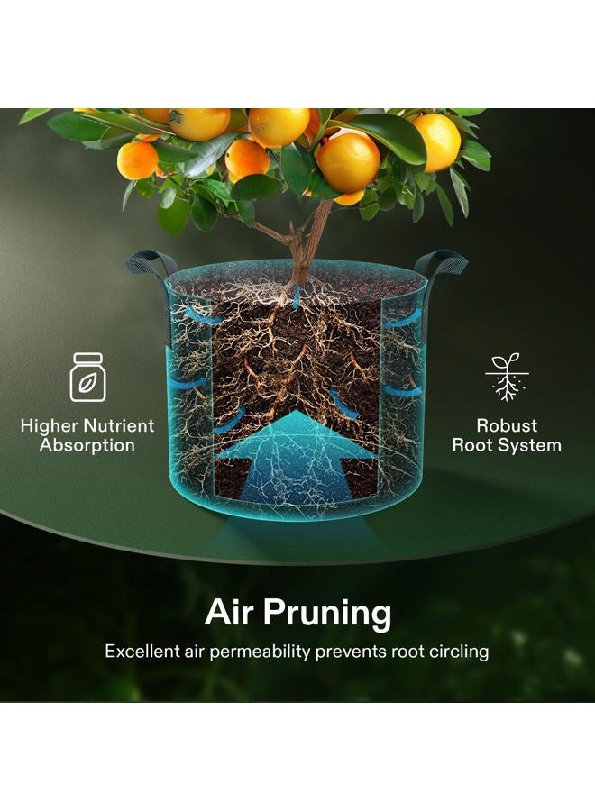 VIVOSUN 5-Pack 2 Gallon Grow Bags Heavy Duty Thickened Nonwoven Fabric Pots with Handles - Image 5