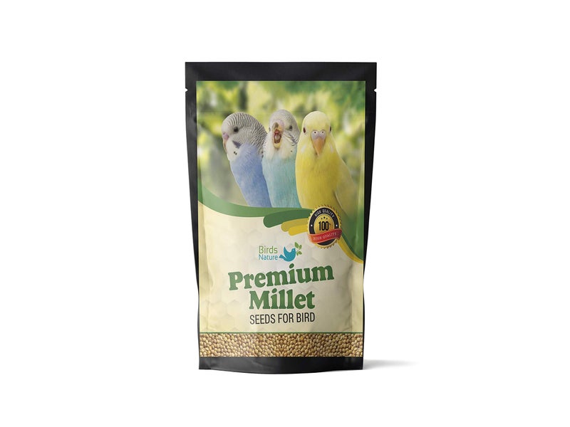 BirdsNature طعام طيور بذور الكنغو الصفراء الممتازة من بيردز ناتشر لطائر الكوكتيل، الفضة، الفنش، المونيا، الباركيت، الببغاوات، السمان، العصافير الأمريكية الأصلية، الحمام، التوهي، الجونكوس، والكاردينال. (1000غ) - Image 2