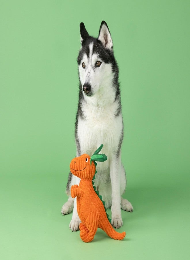Fringe لعبة كلب قطيفة من Fringe Studio، Carrot 'Bout You، مجموعة متجر الحيوانات الأليفة (314305) - Image 4