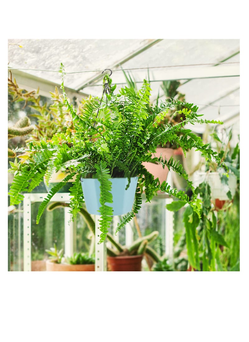 Hanging Planter Pot, 6 Pcs 15cm Plastic Hanging Basket Flower Pot Plant Holder, with 36cm Chain Hooks, for Indoor Outdoor Garden House Porch Decor (6 Colours)