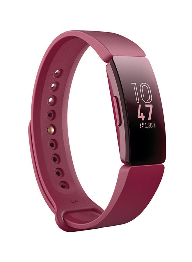NIBEMINENT Classic Replacement Band For Fitbit Inspire Small Sangria - Image 2