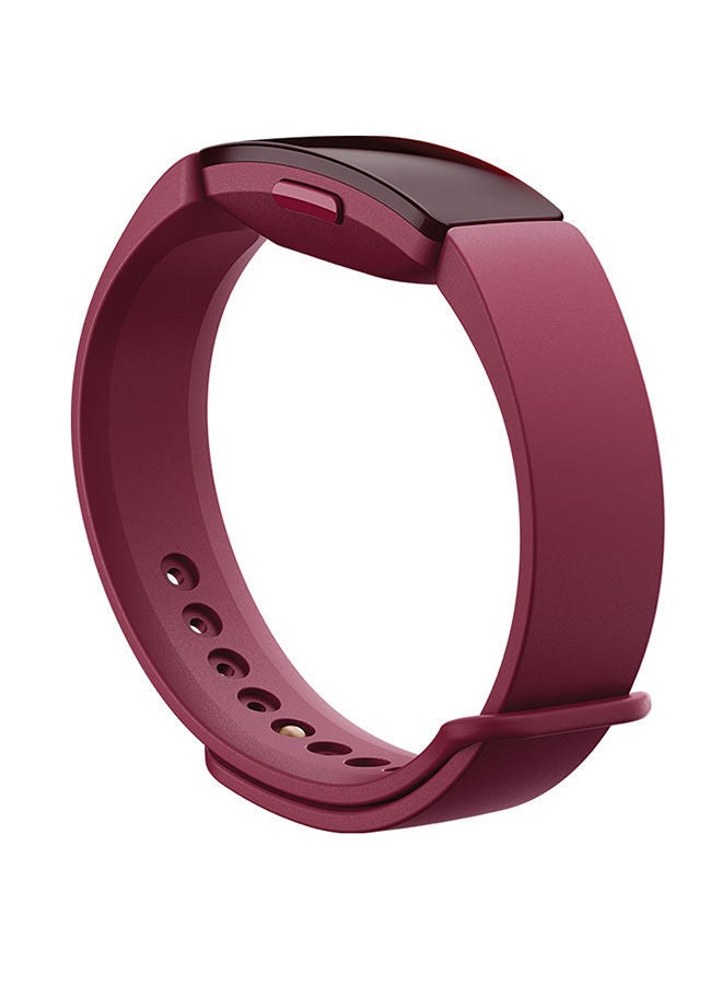 NIBEMINENT Classic Replacement Band For Fitbit Inspire Small Sangria - Image 3
