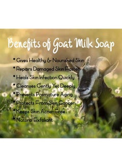 SUNAROMA Soap 8.5Oz (Goat*S Milk With Shea Butter And Manuka Honey)  - Image 4