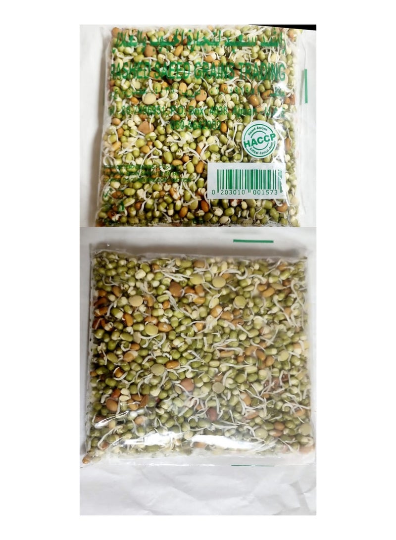 RASHED SAEED GRAINS TRADING Mixed Bean Sprouts 250g - Image 2