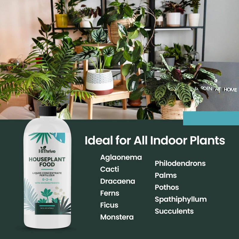 HiThrive 16oz Houseplant Fertilizer, All Purpose Indoor Plant Food - Makes 87+ Gallons, Plant Food for Houseplants - Fiddle Leaf Fig Tree, Pothos & More, 6-2-4 NPK, Concentrated Fertilizer for Indoor Plants - Image 5
