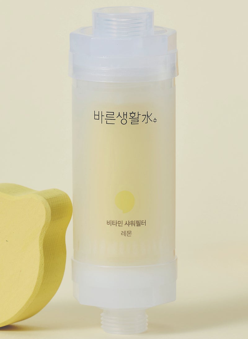 Bareunsoo Korean shower filter (Lemon) - Image 4