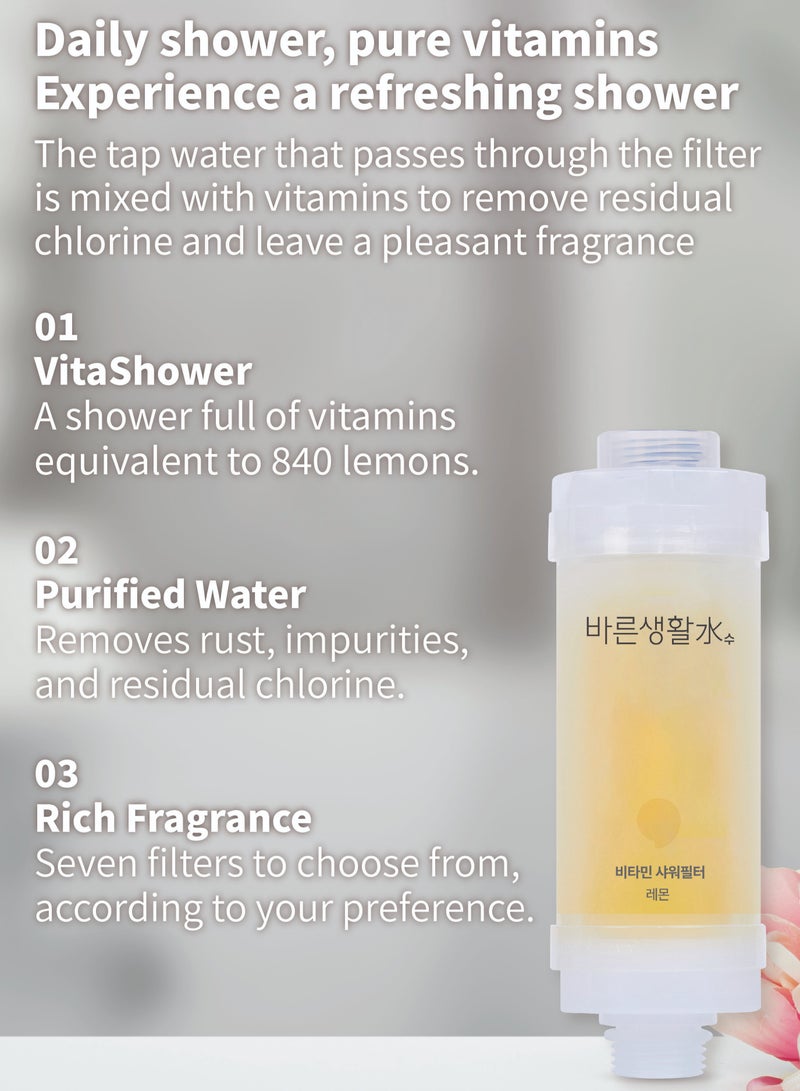 Bareunsoo Korean shower filter (Lemon) - Image 3