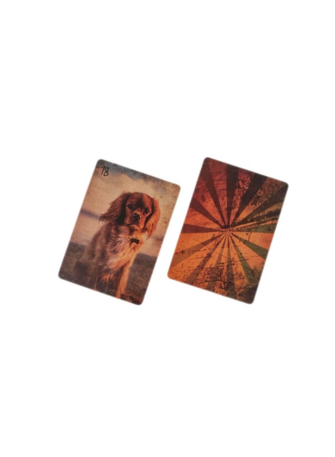 NIBEMINENT Mist Lenormand Cards - Image 2