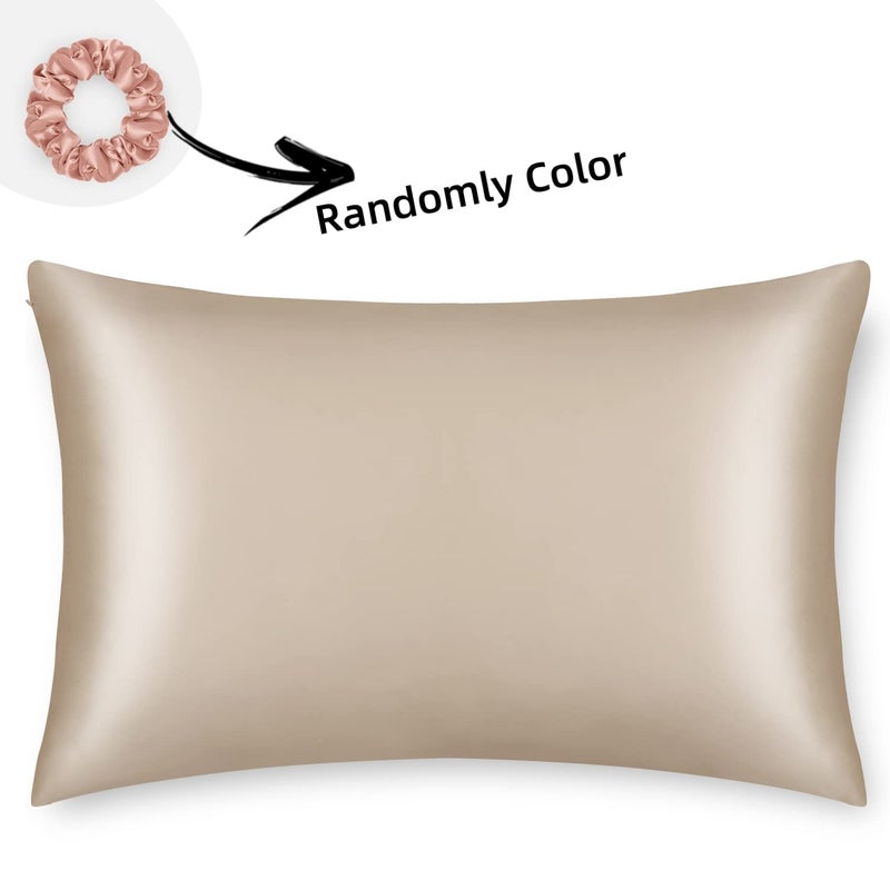 ALASKA BEAR Natural Silk Pillowcase, Hypoallergenic, 19 Momme, 600 Thread Count 100 Percent Mulberry Silk, Queen Size with Hidden Zipper (1,Champagne Gold) - Image 3