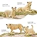 THINKBAY 6PCS Lion Toys Figurines Pride African Jungle Animals Lion Family Realistic Zoo Animal Toys Preschool Toy Birthday Gift Cake Toppers for Kids Boys Girls - Image 4