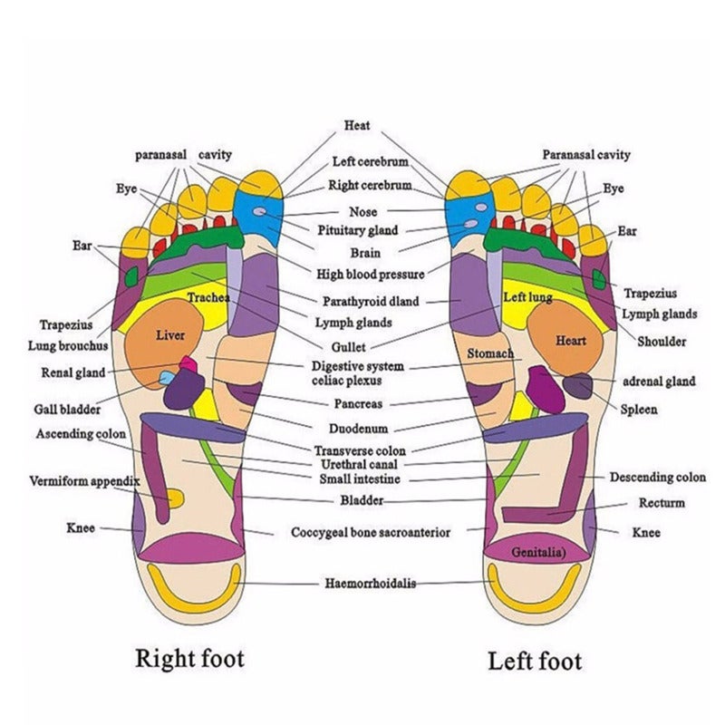 Foot Massager Slippers: Red & Brown, Natural Stone Acupressure Nodes, Boost Blood Flow & Energy, Acupoint Massage Shoes for Daily Walking Standing & Gift Giving - Image 5