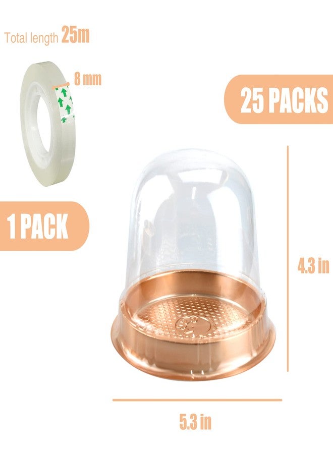 MR.FOAM Clear Plastic Cupcake Container,25 PC Diameter 5.3 in Height 4.2 in Muffin Pod Dome Disposable Individual Box Single Holders With Lid for Wedding Birthday Christmas Halloween - Image 2
