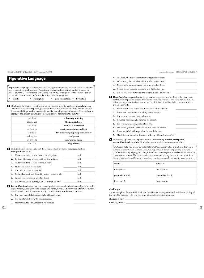 The Vocabulary Expander: KS3 Progression to GCSE f - Image 4