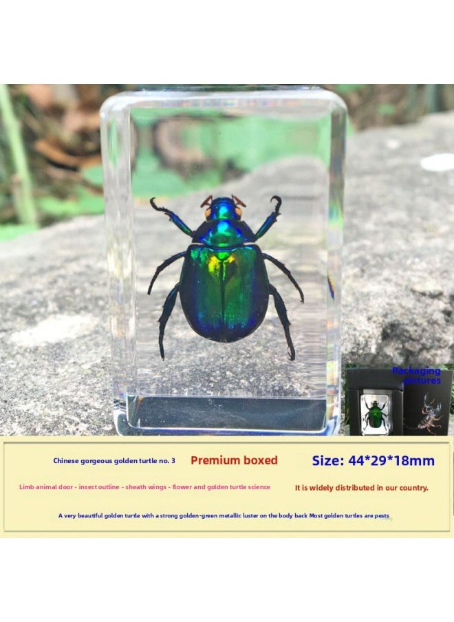 Insect Specimen Real Mono Fairy Amber Scarab Book Town Home Desk Decoration Mantis Spider Scorpion Factory-Color:In The Gorgeous Tortoise 3 Boxed  - Image 1