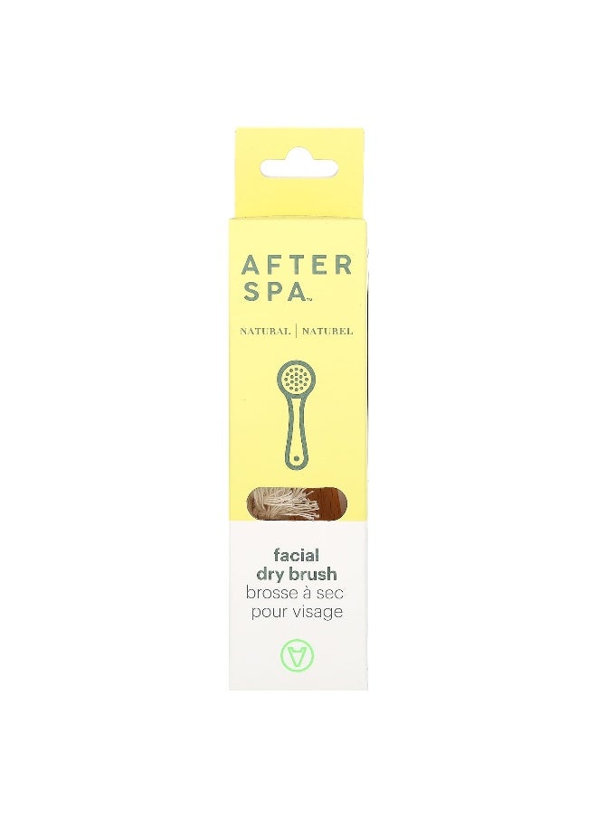 afterspa - AfterSpa, Facial Dry Brush, 1 Brush - Image 1