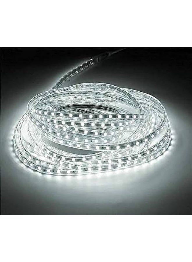 30m LED strip, waterproof, 220V + plug (white)