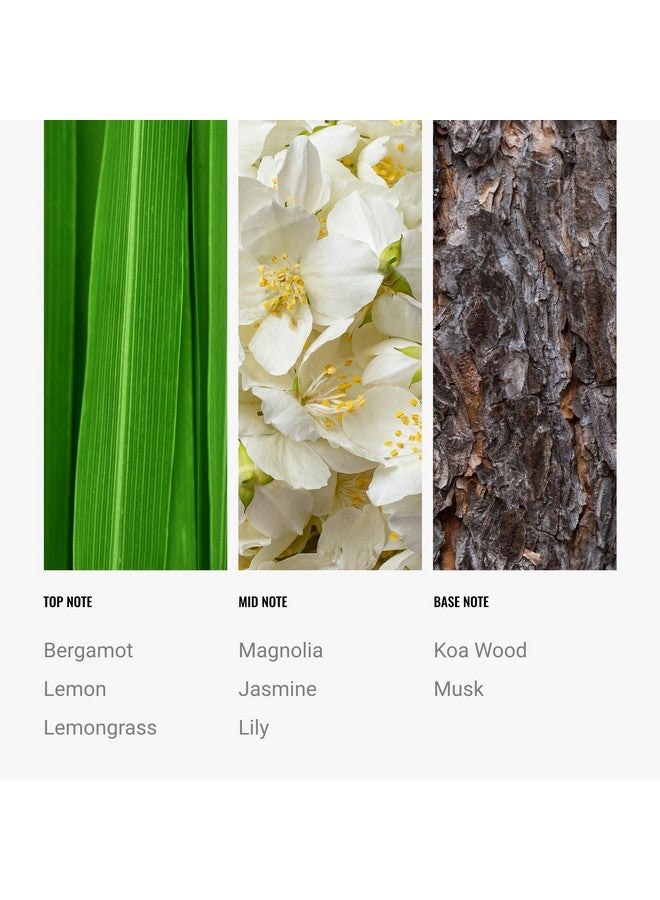 AROMA360 Hotel Collection - 24K Magic Oil Blend - Luxury Hotel Inspired Aromatherapy Scent Diffuser Oil - Citrus, Lemongrass and Jasmine 1.7 fl oz 50 mL  - Image 4