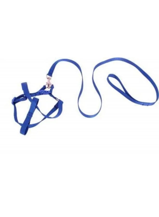 Blue Dog Leash and Harness Set
