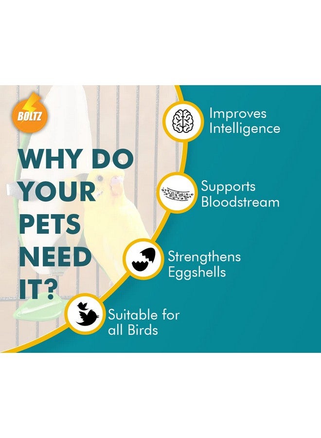 Boltze عظمة الحبار للطيور، غنية بالكالسيوم للعصافير، البادجي، الكونيور، طيور الحب، الكوكتيل، الرمادي الأفريقي، الببغاء، الكوكاتو لجميع مراحل الحياة، 100 جرام، أبيض - Image 2