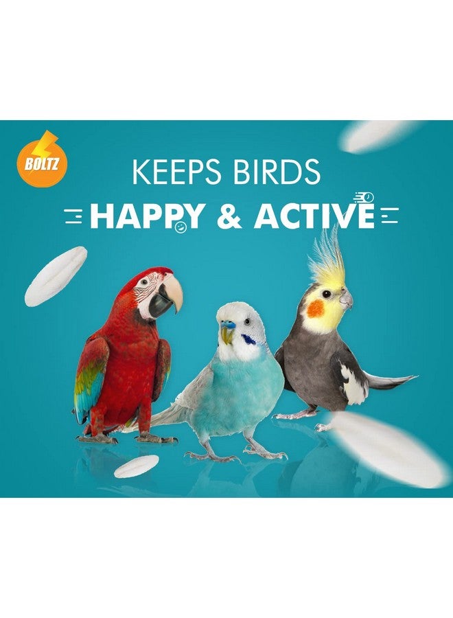Boltze عظمة الحبار للطيور، غنية بالكالسيوم للعصافير، البادجي، الكونيور، طيور الحب، الكوكتيل، الرمادي الأفريقي، الببغاء، الكوكاتو لجميع مراحل الحياة، 100 جرام، أبيض - Image 3