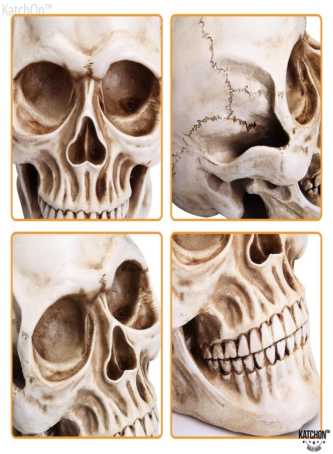 KatchOn, Life Size Human Skull Model 1:1 - Realistic Halloween Human Skull Replica Model | Resin Skull Head Props for Outdoor Halloween Decorations for Home | Skull Decorations Indoor - Image 5