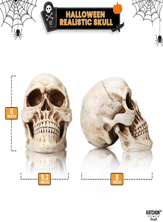 KatchOn, Life Size Human Skull Model 1:1 - Realistic Halloween Human Skull Replica Model | Resin Skull Head Props for Outdoor Halloween Decorations for Home | Skull Decorations Indoor - Image 2