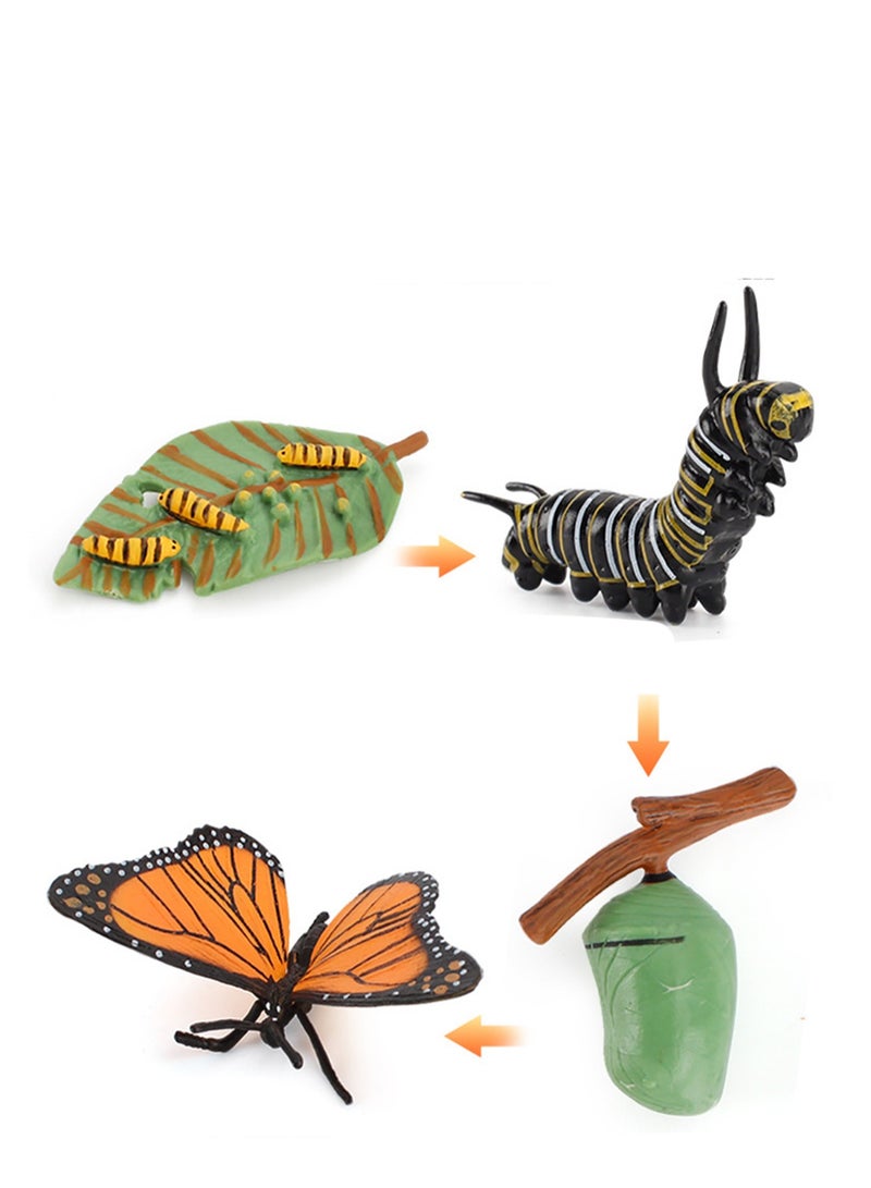 4-Pack Early Education Cognitive Life Growth Cycle Toys Solid Small Animal Simulation Model (Butterfly Growth Cycle) - Image 1