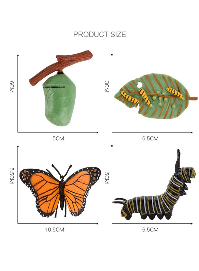 4-Pack Early Education Cognitive Life Growth Cycle Toys Solid Small Animal Simulation Model (Butterfly Growth Cycle) - Image 2