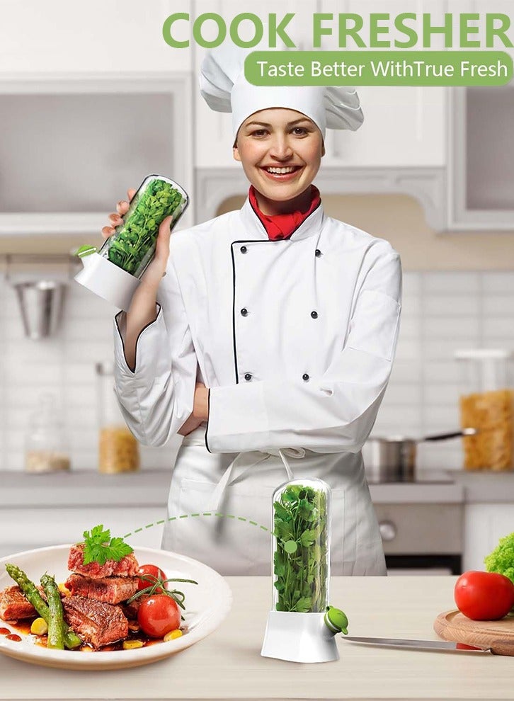 Vanilla vegetable fresh-keeping box, pressure resistant and environmentally friendly fresh-keeping device, creative coriander fresh-keeping cup - Image 2