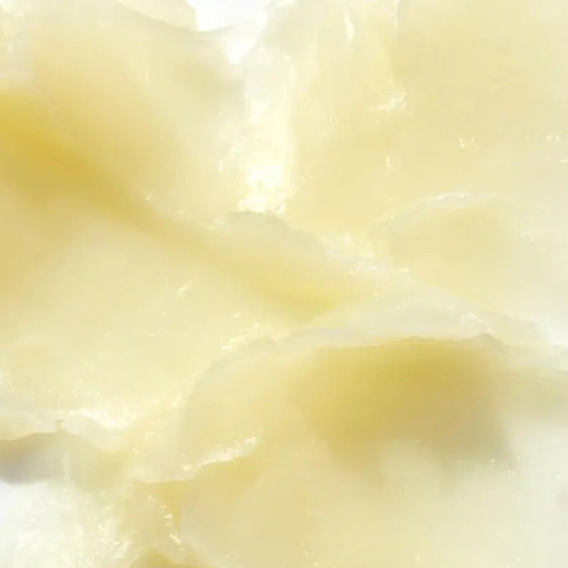 Mario Badescu Lip Wax with Rosehip and Vitamin E Oils, Lightweight and Antioxidant Rich Moisturizer for Dry Lips, Non-Greasy and Non-Sticky Hydrating Balm - Image 3