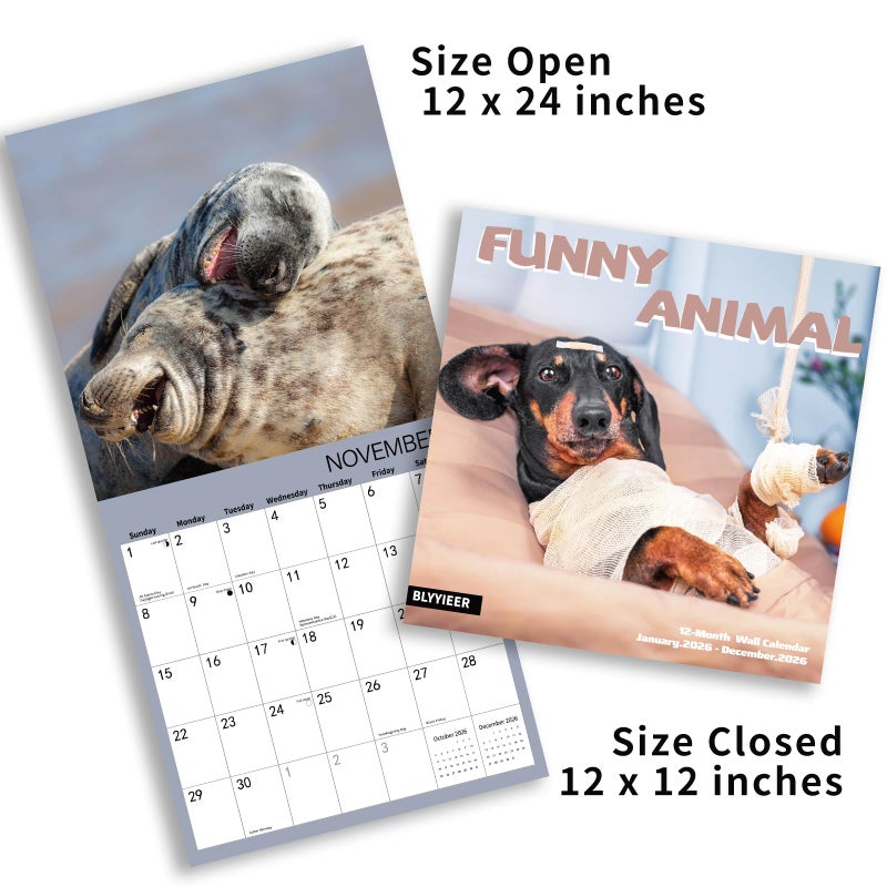 BLYYIEER 2026 Wall Calendar Funny Animal, 14 Months Hangable Wall Calendars, 12" x 24" (Open), Thick Glossy Paper, Organizing & Planning - Image 5