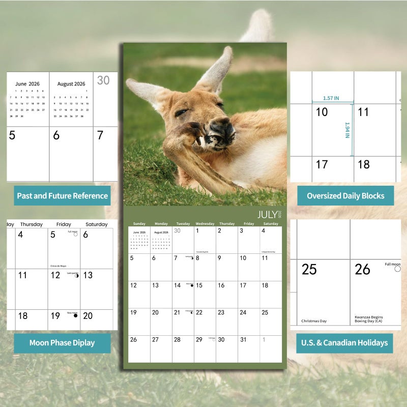 BLYYIEER 2026 Wall Calendar Funny Animal, 14 Months Hangable Wall Calendars, 12" x 24" (Open), Thick Glossy Paper, Organizing & Planning - Image 4