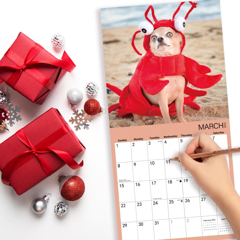 BLYYIEER 2026 Wall Calendar Funny Animal, 14 Months Hangable Wall Calendars, 12" x 24" (Open), Thick Glossy Paper, Organizing & Planning - Image 3