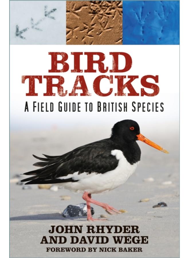 Bird Tracks : A Field Guide to British Species