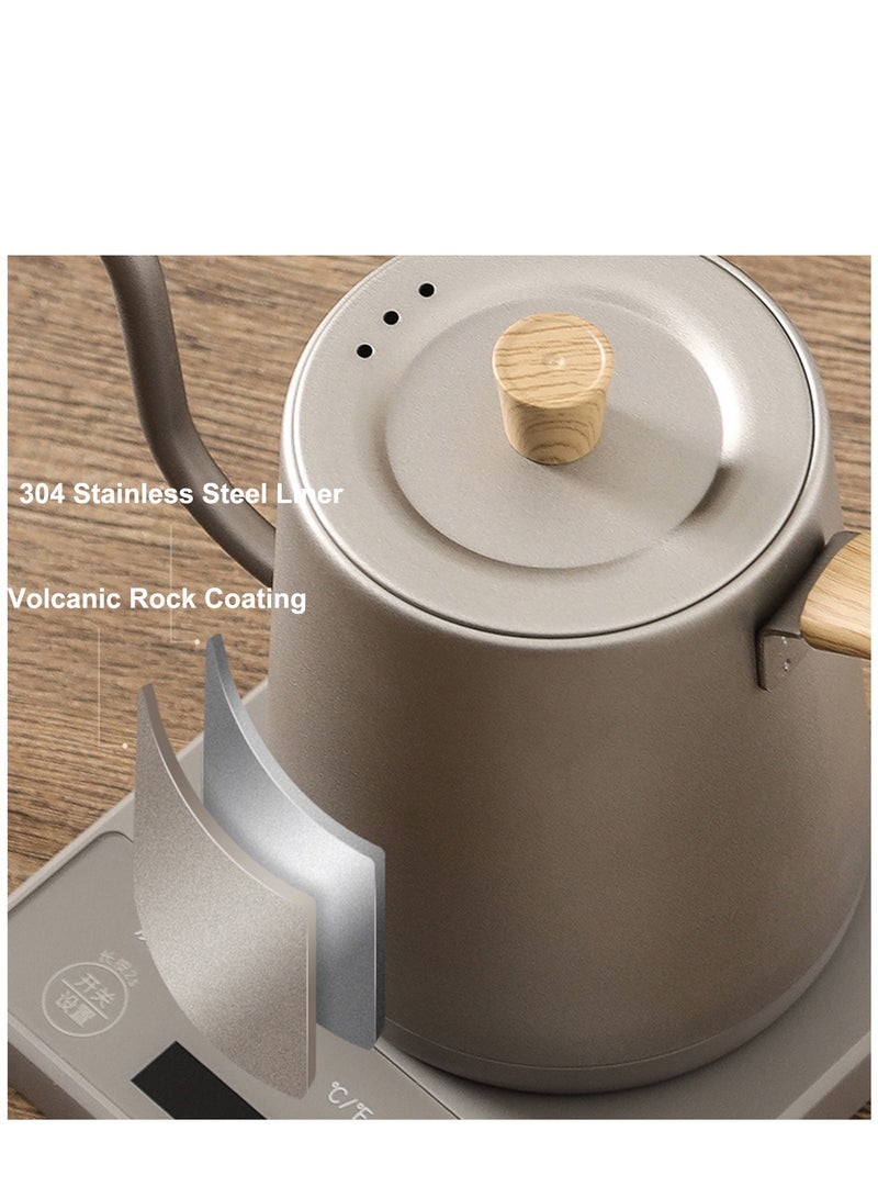 Electric Gooseneck Kettle, 900ml Ultra Fast Boiling Hot Water Kettle, Stainless Steel Electric Kettle, Automatic Temperature Control and Constant Temperature, 1000W Rapid Heating