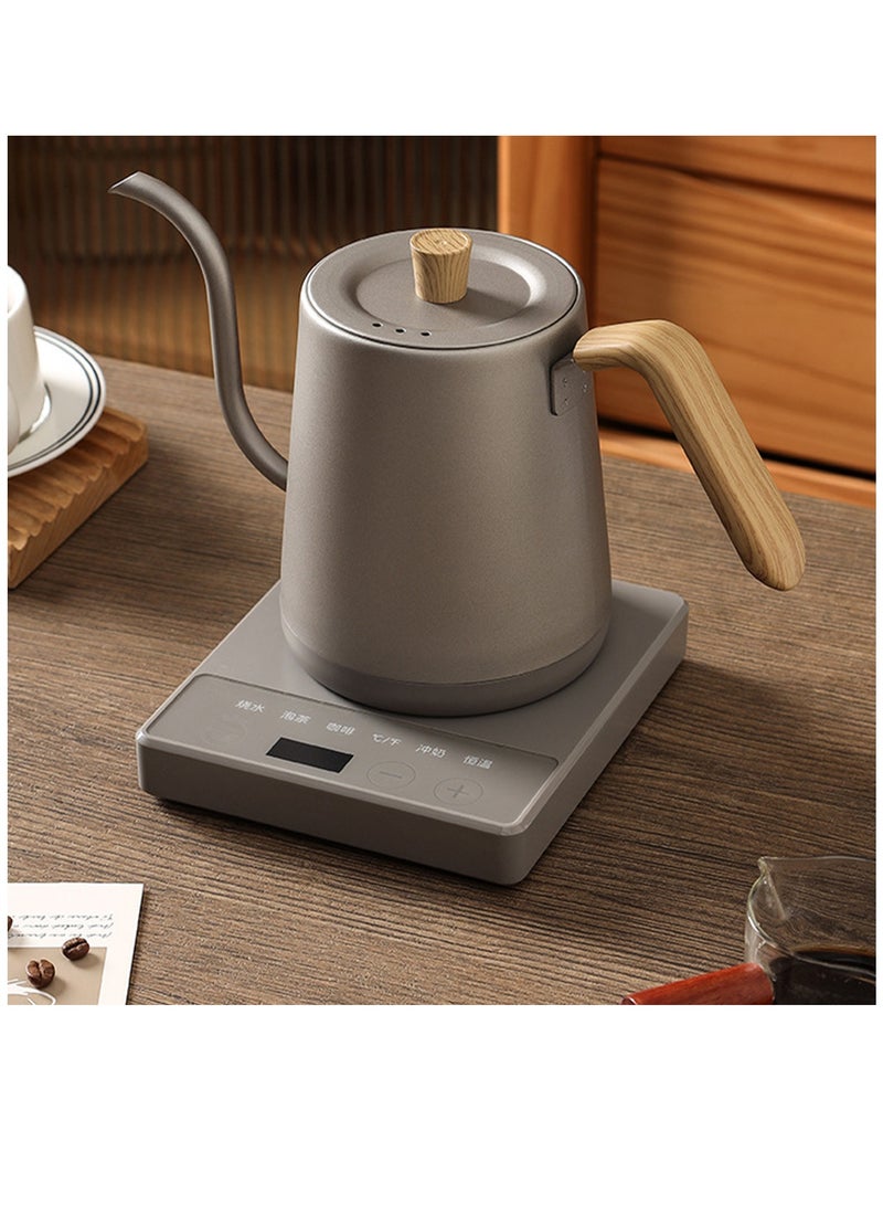 Electric Gooseneck Kettle, 900ml Ultra Fast Boiling Hot Water Kettle, Stainless Steel Electric Kettle, Automatic Temperature Control and Constant Temperature, 1000W Rapid Heating
