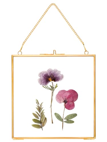REDHUGO Glass Pressed Flower Frames,Vintage Hanging Picture Frames with Chain,Handmade Brass Floating Picture Frame,Plant Specimen Wall Ornament Display Artwork DIY Family Photo,Square,Gold,6x6 Inches - Image 1