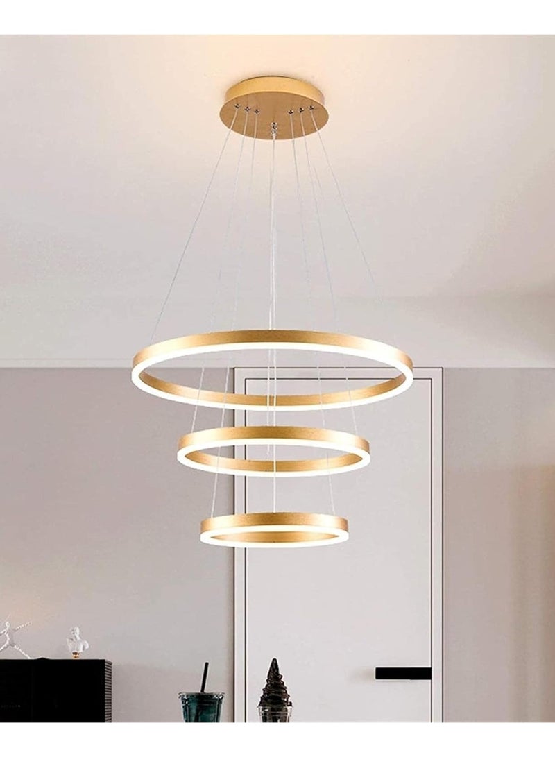 YD Modern Gold LED Ring Chandelier Light - Contemporary Ceiling Pendant for Living Rooms, Dining Rooms, and Hallways - Image 3
