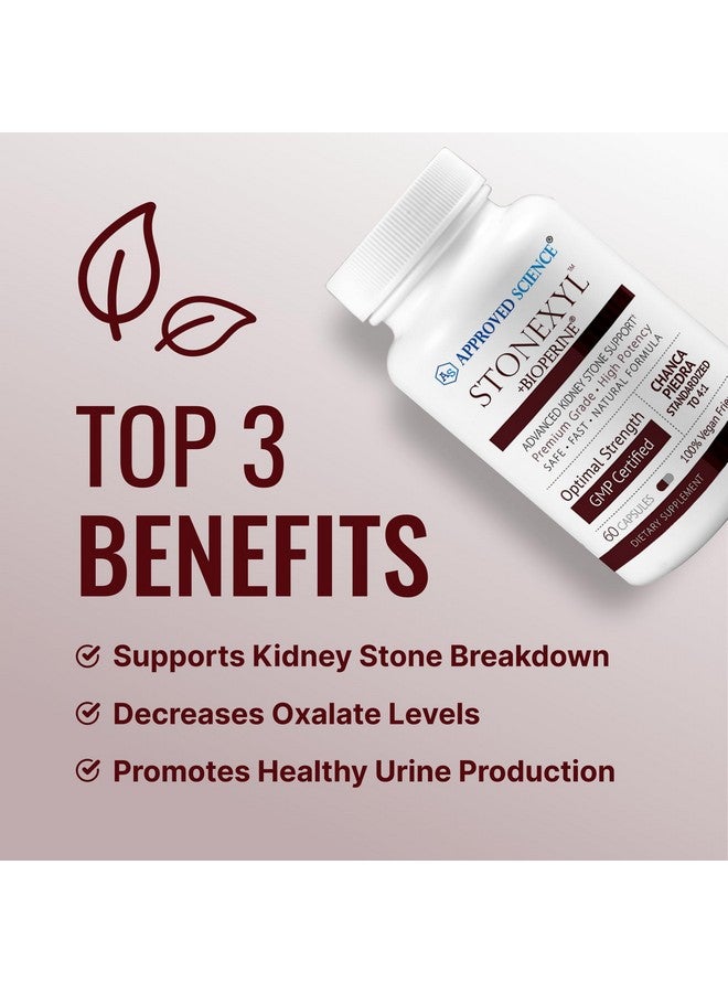 Approved Science Stonexyl - Herbal Support for Kidney Stones - 60 Capsules - Chanca Piedra - High Absorption -1 Month Supply - Vegan - Image 3