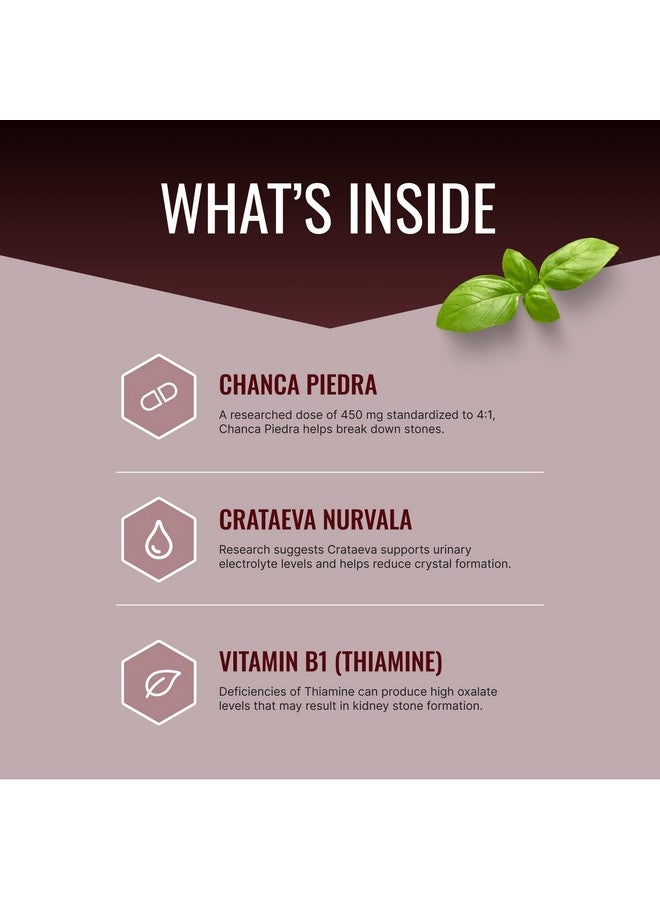 Approved Science Stonexyl - Herbal Support for Kidney Stones - 60 Capsules - Chanca Piedra - High Absorption -1 Month Supply - Vegan - Image 2