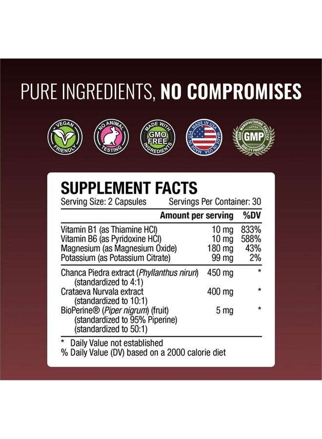 Approved Science Stonexyl - Herbal Support for Kidney Stones - 60 Capsules - Chanca Piedra - High Absorption -1 Month Supply - Vegan - Image 4