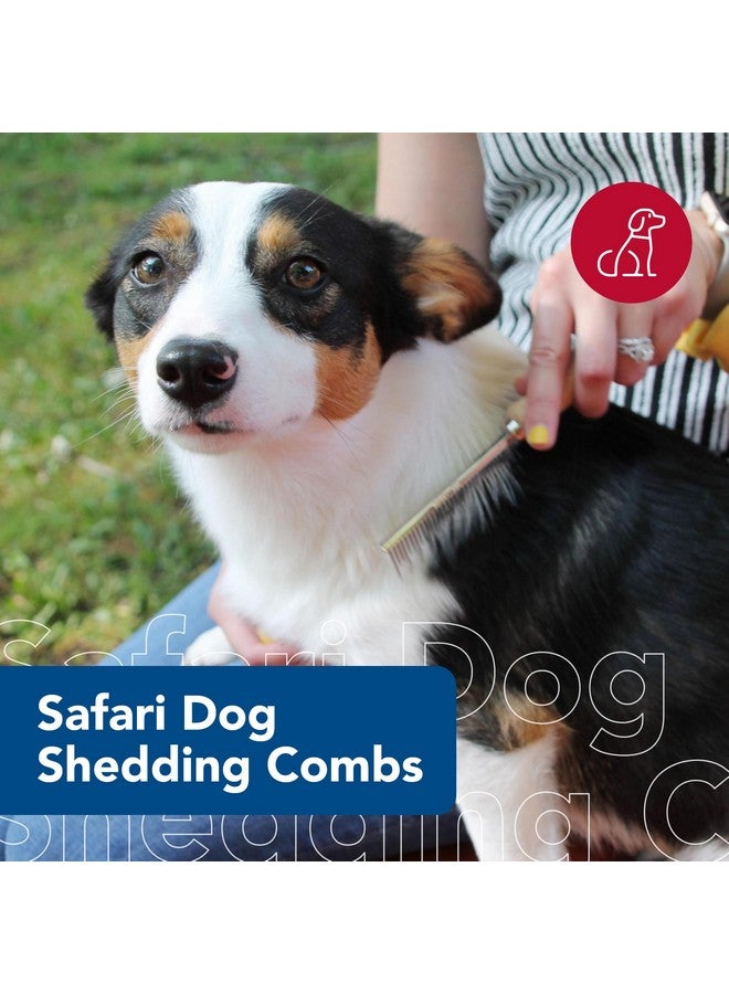 كوستال أمشاط تساقط شعر الكلاب من كوستال بيت سفاري - فرشاة تساقط شعر الكلاب ذات الشعر القصير والطويل - أسنان بأحجام مختلفة لتمشيط الطبقة السفلية - 7 × 1.5 بوصة - Image 2