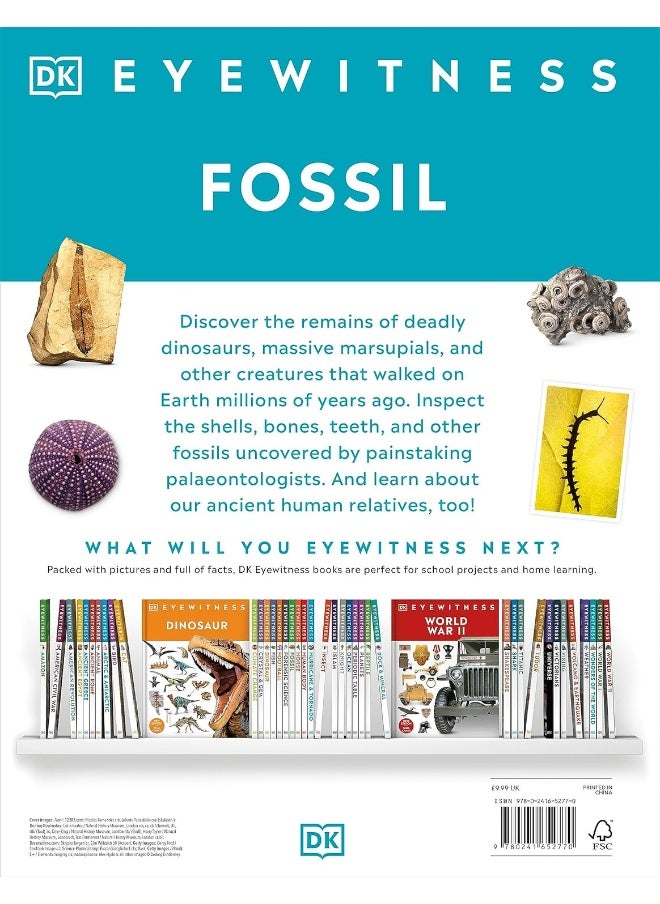 Fossil  - Image 2