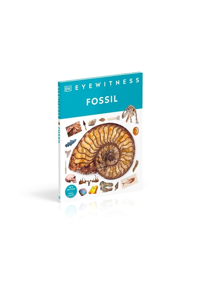 Fossil  - Image 3