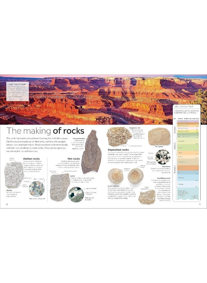 Fossil  - Image 4