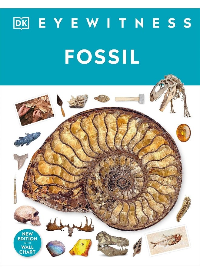 Fossil  - Image 1