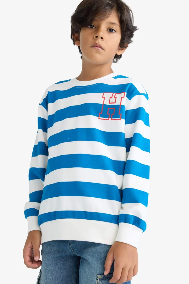 ديفاكتو Boy Crew Neck Striped Sweatshirt